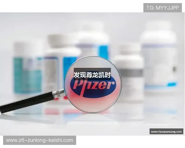 尊龙集团登录入口网站最新版本下载及登录操作步骤介绍