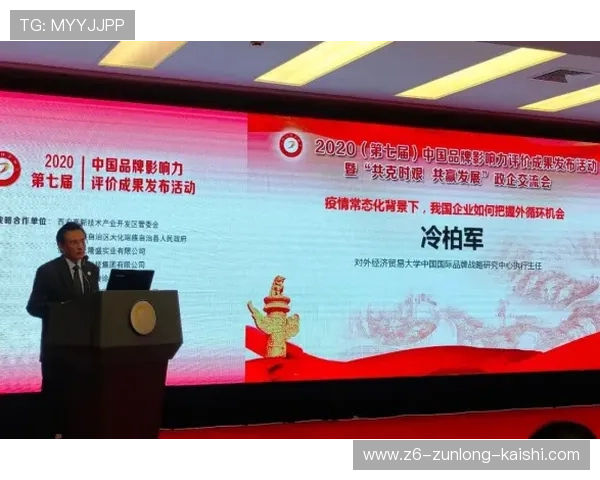 中国尊龙集团在全球化背景下的品牌塑造与国际合作策略分析