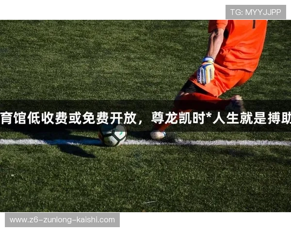 尊龙体育集团：利用科技创新提升体育产业竞争力的行业先锋