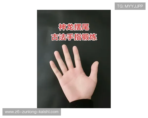 尊龙新版玩法规则图解新手指南，助你轻松上手掌握核心玩法技巧