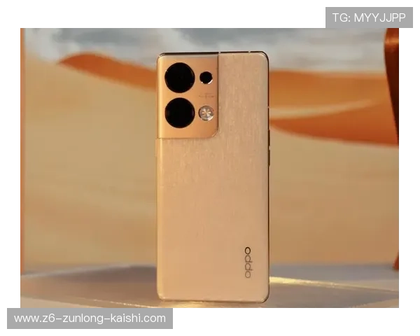 尊龙d88游戏网支持多种支付方式，满足不同地区玩家的支付需求