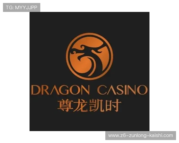 尊龙时凯人生官网：掌握尊龙时凯人生的产品信息与用户体验优化方案