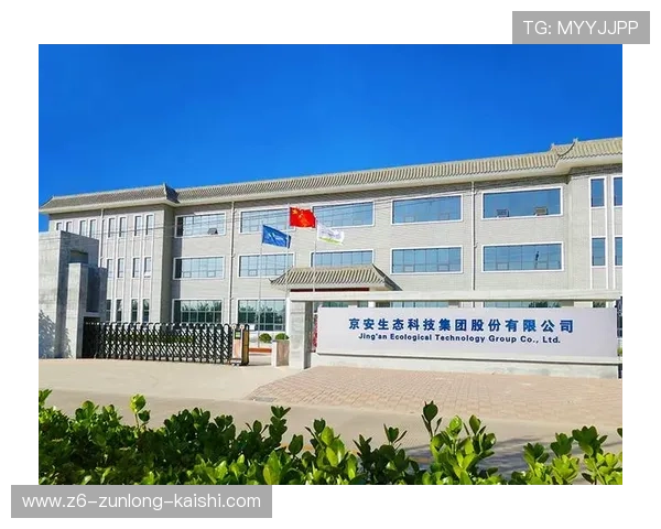 尊龙凯时集团的品牌优势与用户信赖度提升策略详尽介绍